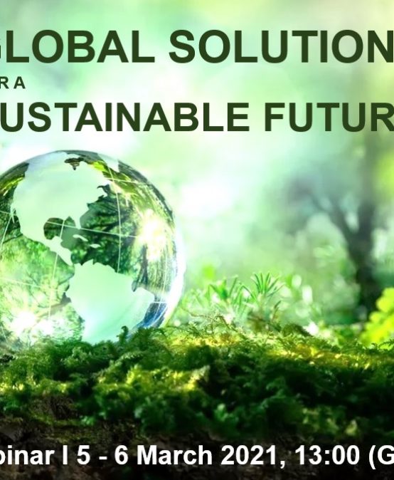 Global Solutions for a Sustainable Future
